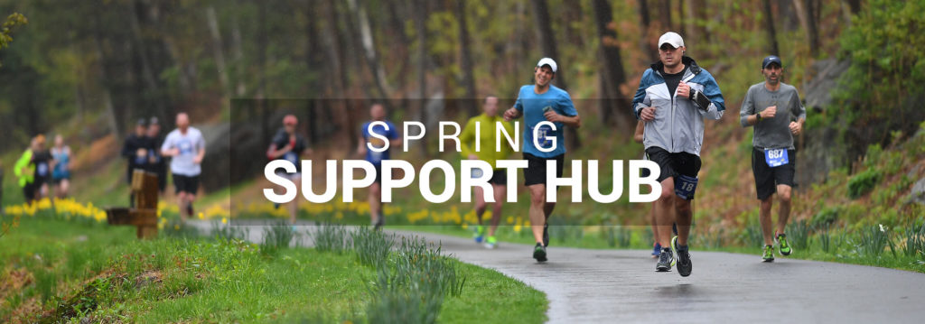 Spring Support Hub